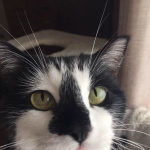 Meet your Posher, Clare